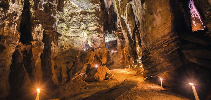 From Johannesburg: Cradle of Humankind Tour - Key points to know before you book