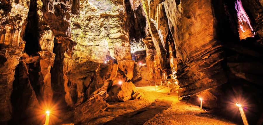 From Johannesburg: Cradle of Humankind Tour - Why the Cradle of Humankind matters