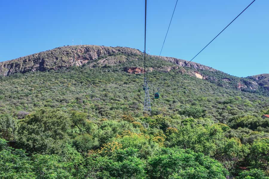 From Johannesburg: Horse-Riding Safari and Cable Car Tour - How this compares with a standard safari day