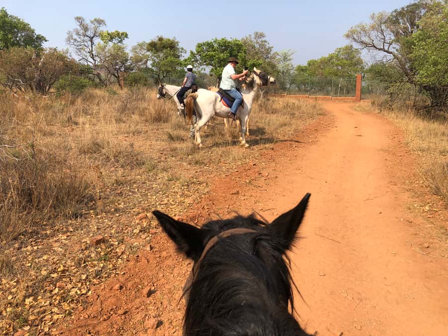 From Johannesburg: Horse-Riding Safari and Cable Car Tour - A five-minute transfer to the cable car