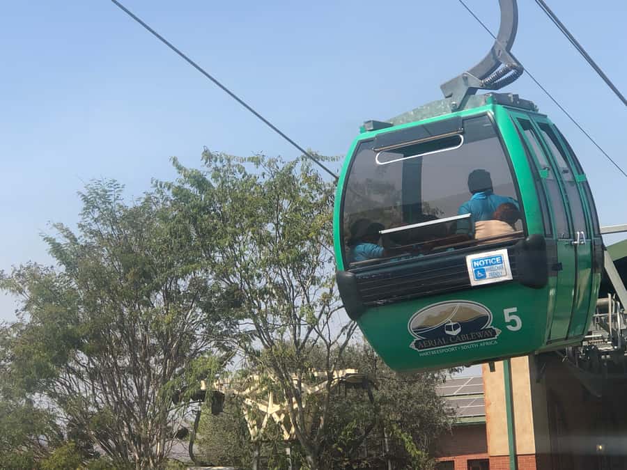 From Johannesburg: Horse-Riding Safari and Cable Car Tour - Timing, clothing, and small practical details