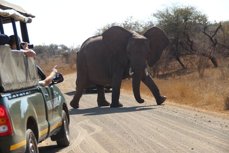 From Johannesburg: Kruger National Park 5-Day Luxury Safari - From Johannesburg to the first sunset drive