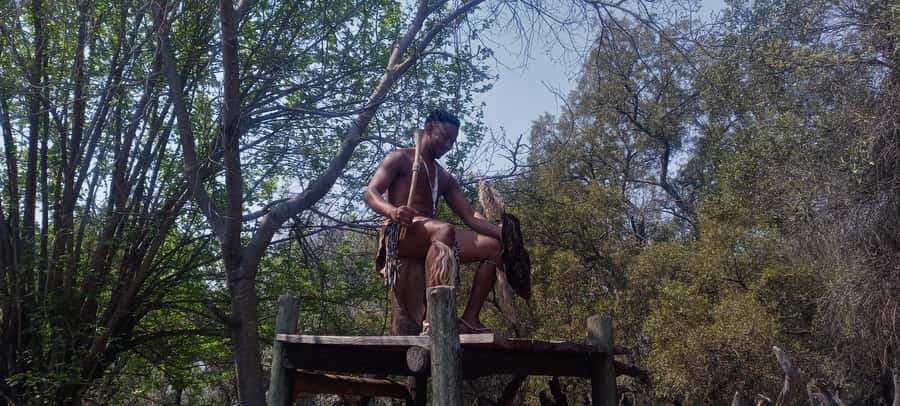 From Johannesburg: Lesedi Cultural Village & Lion Park Tour - Booking details worth knowing
