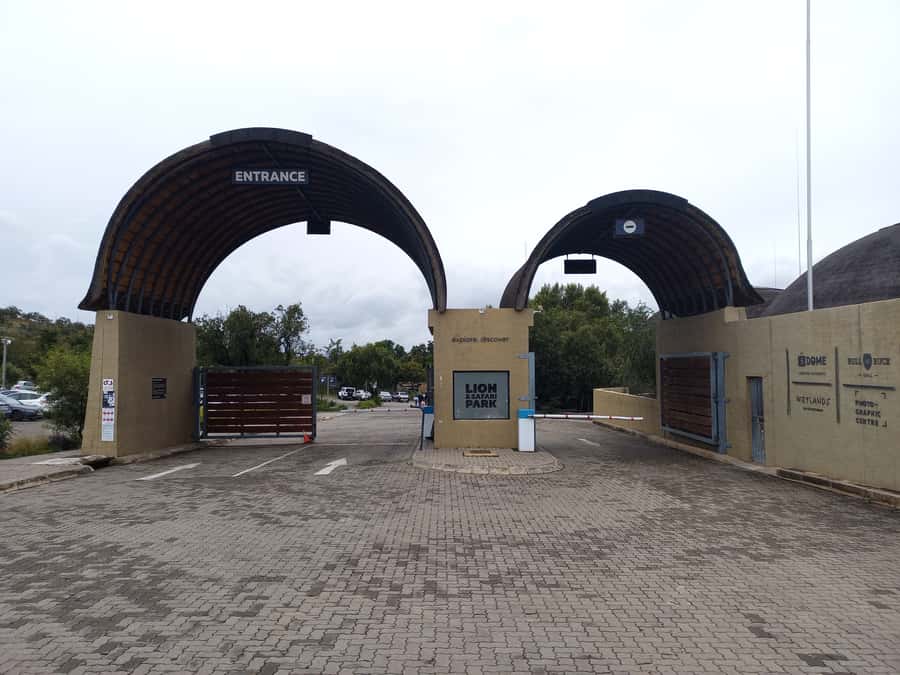 From Johannesburg: Lesedi Cultural Village & Lion Park Tour - The morning ride from Johannesburg, Pretoria, or the West Rand