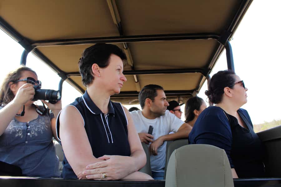 From Johannesburg: Pilanesberg Nature Reserve Game Safari - Lunch at the rest stop