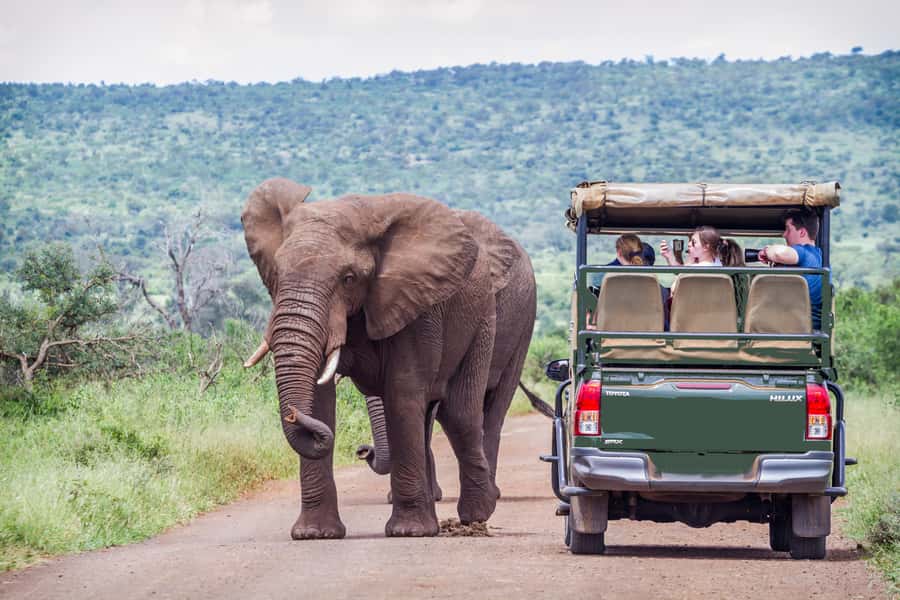 From Johannesburg: Pilanesberg Wildlife Safari - The open jeep and the closed minibus choice