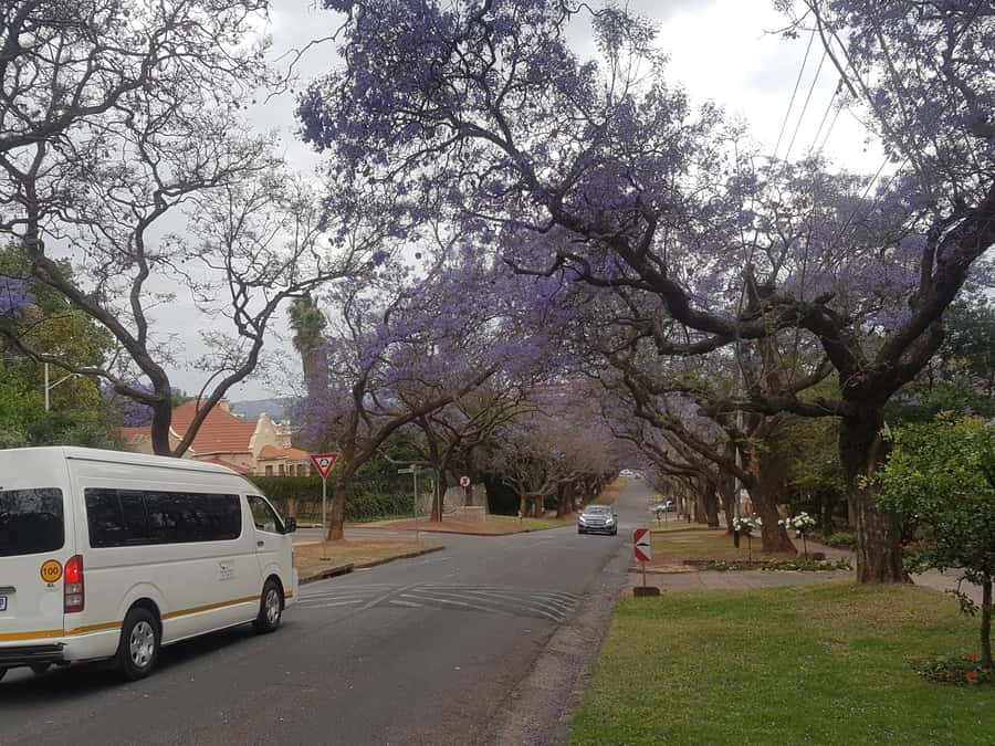 From Johannesburg: Pretoria Half Day Tour - Why Pretoria makes a good half-day outing
