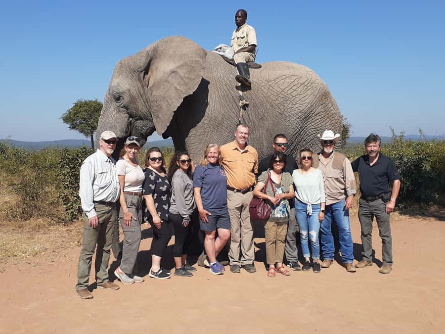 From Malelane: Half Day Kruger Park Wildlife Safari - Key points to know before booking
