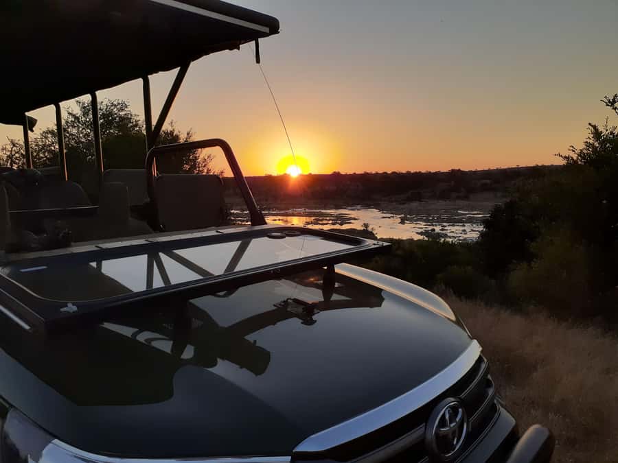 From Malelane: Half Day Kruger Park Wildlife Safari - Following the morning search for the Big Five