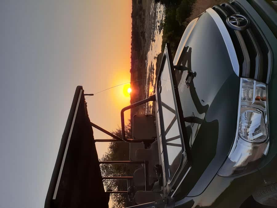 From Malelane: Kruger National Park Full-Day Safari - What the strongest guide service adds