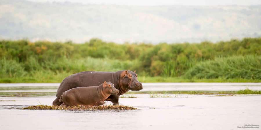 From Marloth Park: Sunset River Cruise Safari - Why a river sunset adds something different