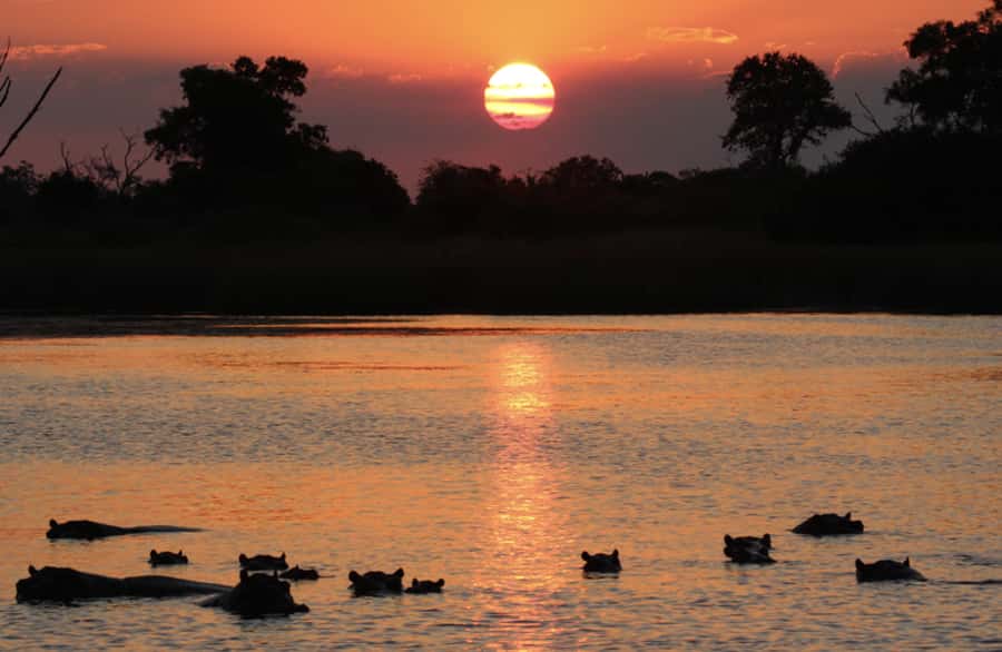 From Marloth Park: Sunset River Cruise Safari - The first stretch on the Komati and Crocodile Rivers