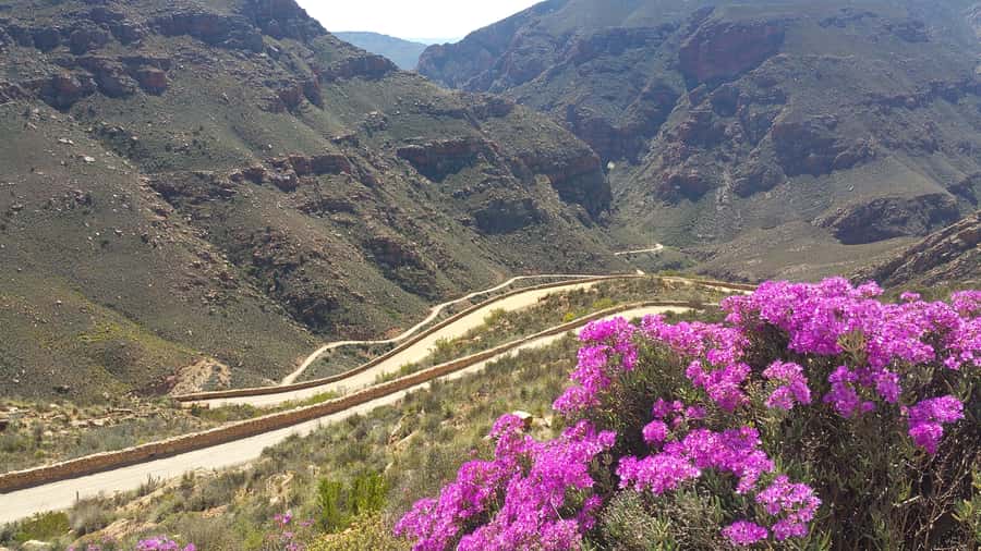 From Oudtshoorn: Full-Day Private Swartberg Mountain Tour - What the private setup adds