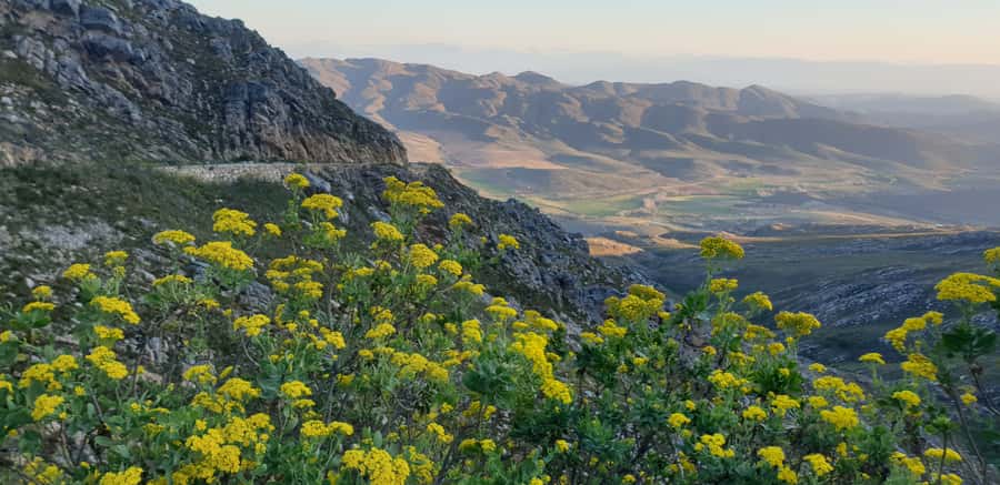 From Oudtshoorn: Full-Day Private Swartberg Mountain Tour - Languages, timing, and what to pack