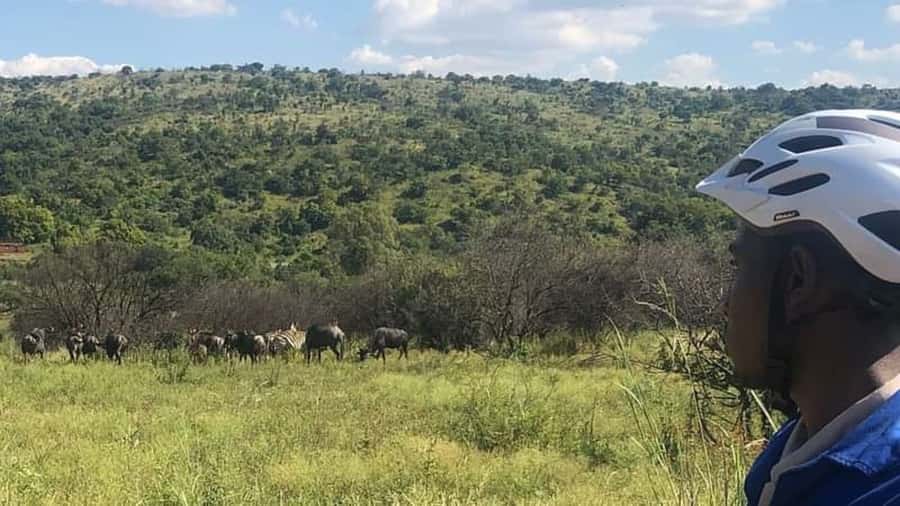 From Pretoria: E-Bike in the wild with game near Jo'burg - Riding into Groenkloof Nature Reserve