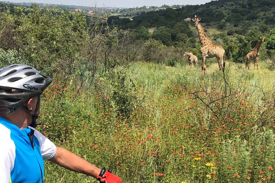 From Pretoria: E-Bike in the wild with game near Jo'burg - A closer look at the safety rules
