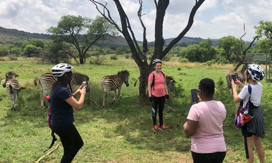 From Pretoria: E-Bike in the wild with game near Jo'burg - Group size, guides, and the personal feel