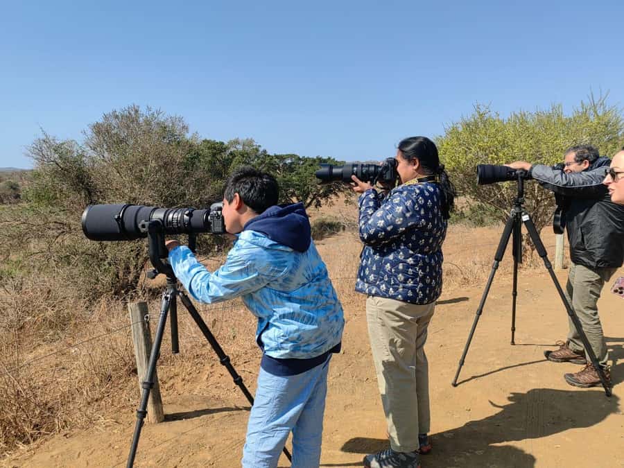 From St Lucia: Big 5 Safari in the Hluhluwe-Imfolozi Park - The one-hour ride from St Lucia