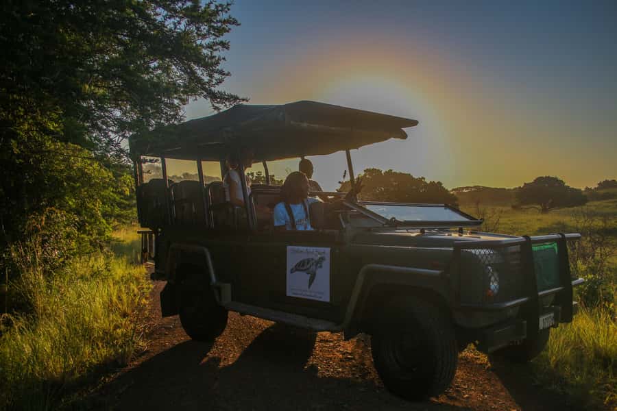 From St Lucia: Cape Vidal Full-Day Snorkeling Safari - Key points to know before booking