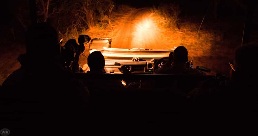 From St Lucia: iSimangaliso Wetland Park Night Drive Safari - Key points to know before you go