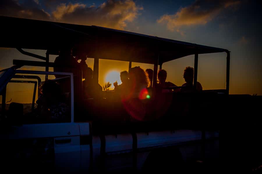 From St Lucia: iSimangaliso Wetland Park Night Drive Safari - What the night drive is really like