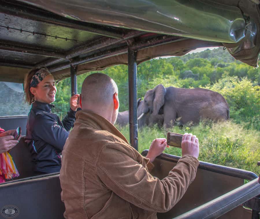 From St Lucia: iSimangaliso Wetland Park Night Drive Safari - My booking advice