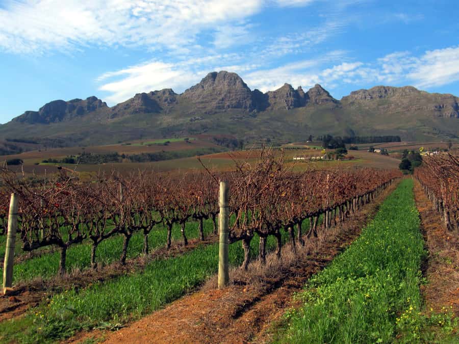 From Stellenbosch: Hop-On Hop-Off Wine Tour Southern Route - Blaauwklippen adds historic character and food
