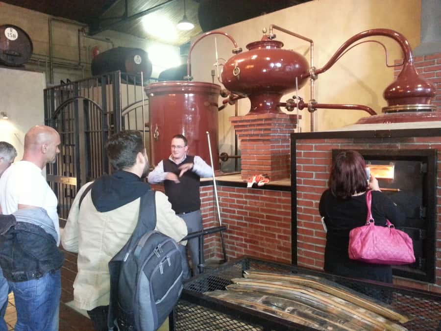 From Stellenbosch: Hop-On Hop-Off Wine Tour Southern Route - Start at Kleine Zalze for polished wine and scenery