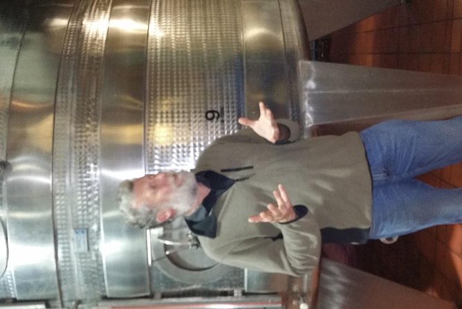 Full Day Afrivista Wine Tours from Stellenbosch - Is $79.08 a good value?