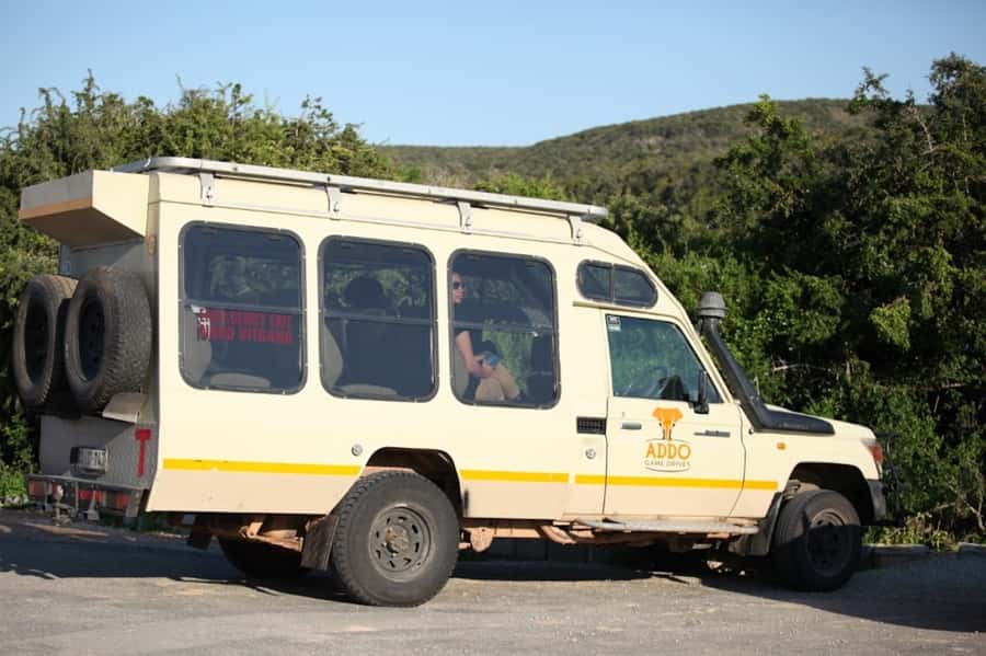 Full-Day All Inclusive Safari with Traditional Braai Lunch - The first morning drive: antelope, zebra, and the search for lions