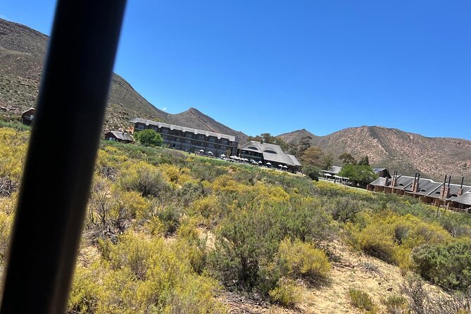 Full day Aquila Game Reserve Big 5 Safari with Wine Tasting Tour - Five hours at Aquila Private Game Reserve