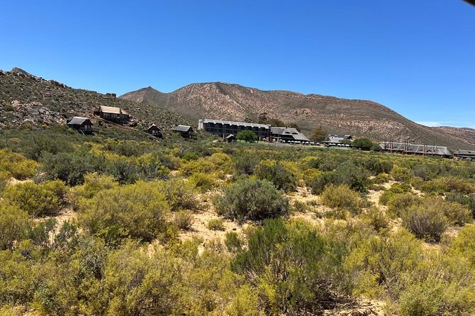 Full day Aquila Game Reserve Big 5 Safari with Wine Tasting Tour - Buffet lunch with useful food choices