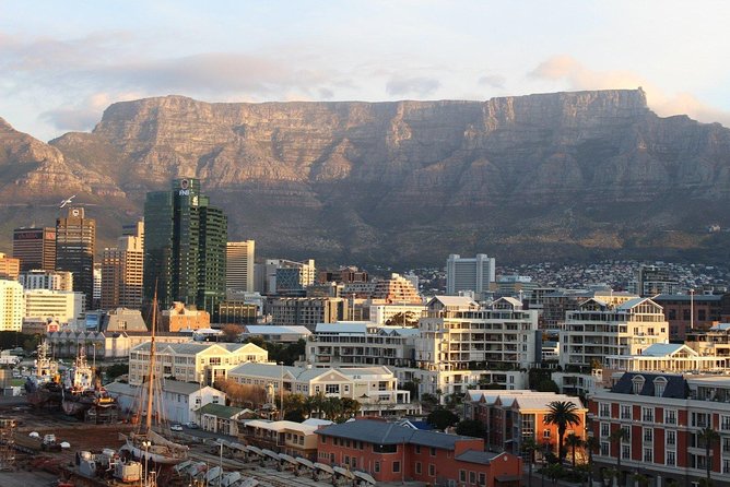 Full-Day Best of the Cape, Peninsula, Cape Point and Stellenbosch Tour - Cape Point gives you the main walking time