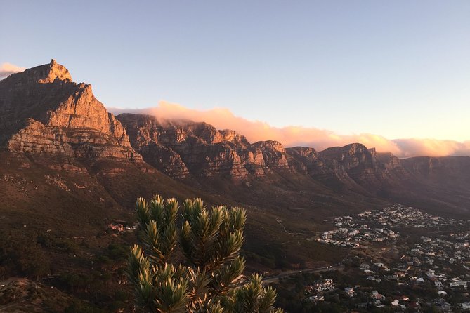 Full-Day Best of the Cape, Peninsula, Cape Point and Stellenbosch Tour - The long day is the main practical compromise