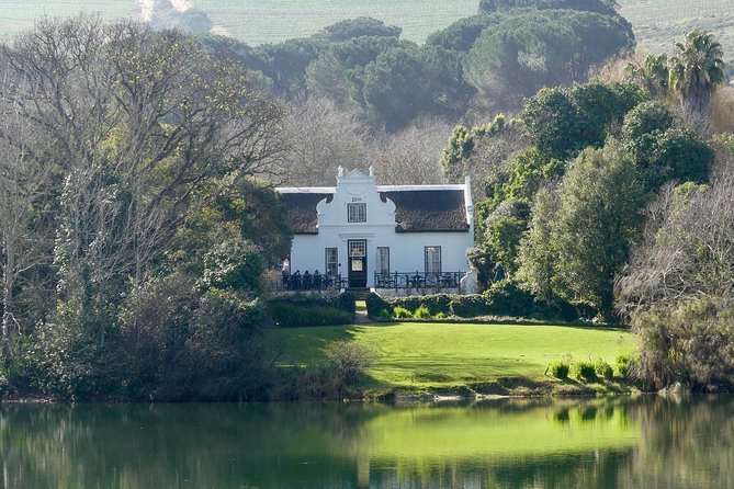 Full-Day Best of the Cape, Peninsula, Cape Point and Stellenbosch Tour - Guides, group size, and transport can make or break the day