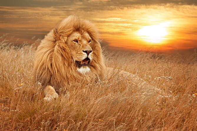Full Day Big 5 Aquila Safari Private Transfers Including Park Fee From Cape Town - The 6:30 a.m. pickup and the road to Aquila