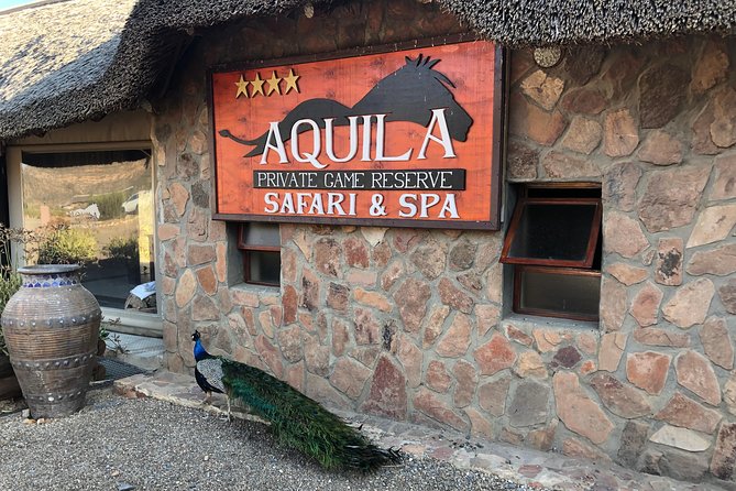 Full Day Big 5 Aquila Safari Private Transfers Including Park Fee From Cape Town - The 2 to 3-hour shared Big 5 drive