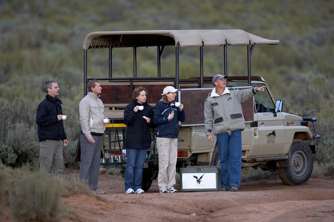 Full Day Big 5 Aquila Safari Private Transfers Including Park Fee From Cape Town - Lunch, poolside time, and the rhythm of the reserve