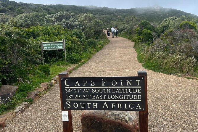 Full-Day Cape of Good Hope and Table Mountain with Penguins Tour - Two hours above the city on Table Mountain