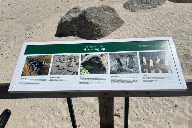 Full-Day Cape of Good Hope and Table Mountain with Penguins Tour - Chapman’s Peak and the return toward Cape Town