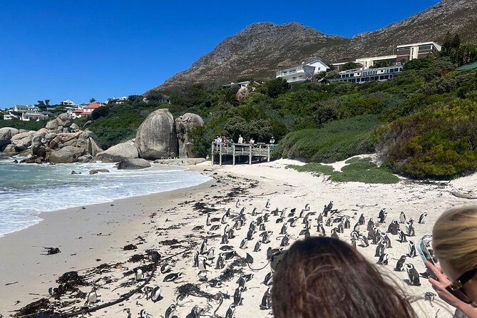 Full-Day Cape of Good Hope and Table Mountain with Penguins Tour - Who should book this day out?