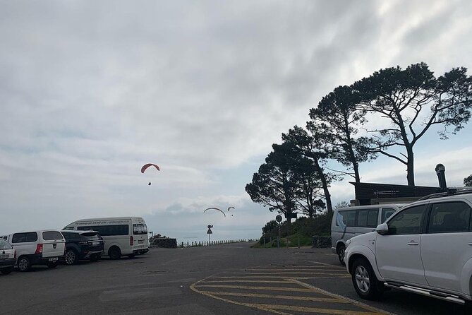Full Day Cape of Good Hope-Cape Point Group Tour from Cape Town - What the small group changes