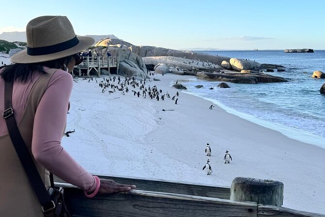 Full Day Cape Peninsula, Bo Kaap & Penguins Small Group Tour - Maiden’s Cove and the Twelve Apostles