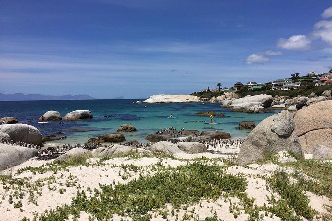 Full Day Cape Peninsula Motorcycle Tour on a Royal Enfield - Meeting point, gear, and booking details