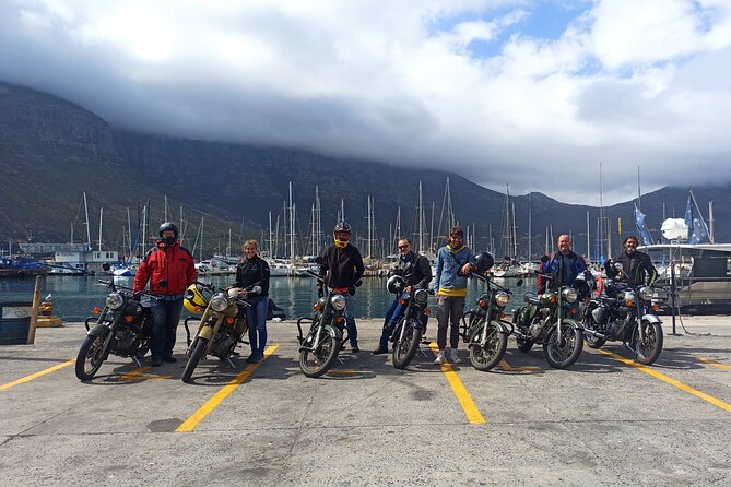 Full Day Cape Peninsula Motorcycle Tour on a Royal Enfield - Boulders Beach brings you close to African penguins