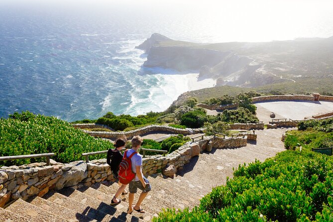 Full Day Cape Peninsula Tour - Cape Point and the Cape of Good Hope reserve