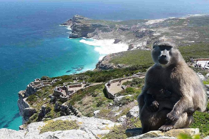 Full Day Cape Peninsula Tour in Private Car - Maiden’s Cove offers the first big coastal views