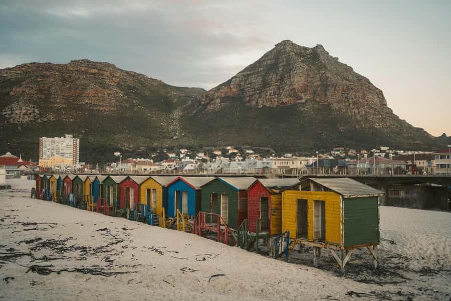 Full day Cape Penisula Tour: Chapman's Peak - Cape Point - Boulders Beach is the wildlife stop