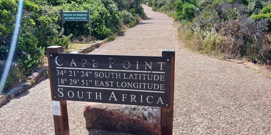 Full Day - Cape Point and Penguins Plus Table Mountain - Boulders Beach brings you close to African penguins