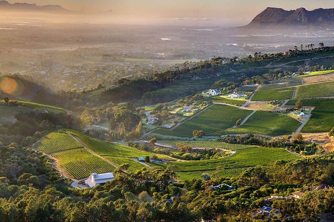 Full day Cape Point + Constantia Wine Tour with Private Transfer - Chapman’s Peak, where the road is part of the attraction